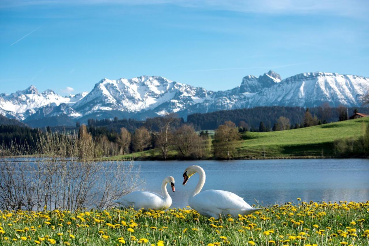 Direkt Am See Mit Bergblick Seeg Exterior photo